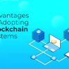 Advantages of Adopting Blockchain Systems
